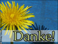 danke,thanks in german,deutch,thanks,
