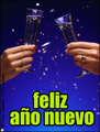 feliz 2010, feliz ao nuevo, salud,