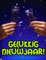 toost,gelukkig nieuwjaar,2010,champagne,toast,dutch,