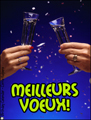 chin chin,2010,meilleurs voeux,french,happy new year,champagne,