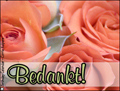 bedankt,thanks,dutch thank you card,bloemen,roses,rozen,