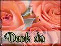 dank dir, danke, german thank you card, blumen,