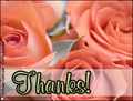 thanks,thank you,roses,flowers,thank you card,bouquet,