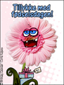 happy birthday,danish,flower,Tillykke med fødselsdagen,