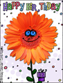 happy birthday,birthday wishes,flower,floral,funny,confetti,