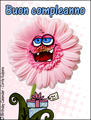 Buon compleanno, flower,happy birthday, birthday card in Italian, Italiano, celebration, language card, confetti, auguri, congratulazioni