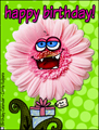 happy birthday,birthday wishes,gerbera daisy,flower,face
