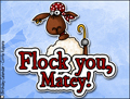 flock you, matey, pirat, sheep,