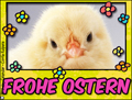 Frohe Ostern, Frohes Ostern, Kcken, Kken, Osterei,