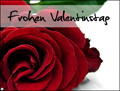 frohen valentinstag,liiebe, ich liebe dich, ich hab dich lieb, rose,