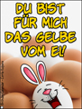 gelbe vom ei, die beste, Ostern, Osterhase,