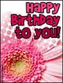 happy birthday, b-day, bday, gerbera daisy, flower