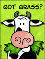 grass,weeds,pot,cow,cud,