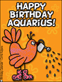 happy birthday, bday, b-day, aquarius, zodiac, birthsign, horoscope,