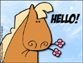 hi,hello,nice to meet you,whassup,horse,friend,how are you,