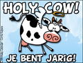 van harte, hartelijk gefeliciteerd, holy cow, koe, taart, grappig, hiep hiep hoera, jarige, verjaardag