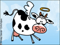 holy cow, birthday, animated, funny birthday card, happy birthday