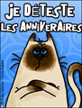 Je dteste les anniversaires, je n'aime pas les anniversaires, vieillit,