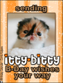 itty bitty,b-day,birthday,kitty,kitten,sweet,cute, cat, baby, child, children, female, girl, bday, friend, family, relative