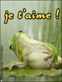 je t'aime,coeur,joyeux valentine, l'amour,grenouille,je tadore