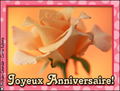 joyeux anniversaire, flicitations, rose,