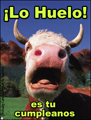 lo huelo as tu cumpleanos, feliz cumpleanos,spanish birthday card,happy birthday,tarjetas di cumpleaos,tarjetas virtuales,