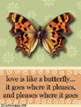 love like a butterfly,love,romance,romantic,lover,relationship,freedom,poem,verse,valentine,
girlfriend,boyfriend,