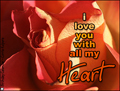 i love you,valentine, rose,love,heart,