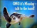 monday, everyday, funny, turtle, talk to the hand