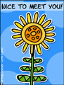 hi,hello,nice to meet you,whassup,sunflower,friend,how are you,