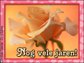 nog vele jaren,verjaardag,hartelijk gefeliciteerd,roos,