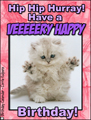 happy birthday,kitty,kitten,cat,sweet,bday, birthday, persian cat, cute, animal, pet, soft, furry