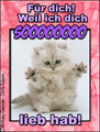 ich hab dich soooo lieb, ktschen, sss, drcken,