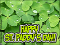 st. patrick's day, st. paddy's day, shenanigans, green beer, luck, irish, green, clover, shamrock,