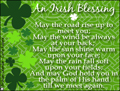 st. patrick's day, st. paddy's day, saint patrick's day, irish blessing, shenanigans, green beer, luck, irish, green, clover, shamrock,