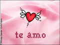 te amo, te quiero, corazn, amor, dia de san valentine, rosa, romntico