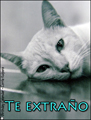 te extrao, triste,gato,solo,