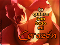 te quiero, corazn, amor, dia de san valentine, rosa, romntico