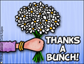 thank you, thanks, thx, thanks , thanks a bunch, flowers, bouquet,