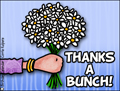 thank you, thanks, thx, thanks , thanks a bunch, flowers, bouquet,