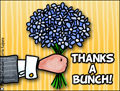 thank you, thanks, thx, thanks , thanks a bunch, flowers, bouquet,