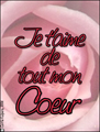 je t'aime,coeur,joyeux valentine, l'amour,rose,