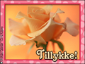 Tillykke med Fdselsdag, tillykke,fest,