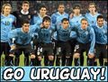 2010 worldcup, FIFA, soccer, football, uruguay, team, semi finals